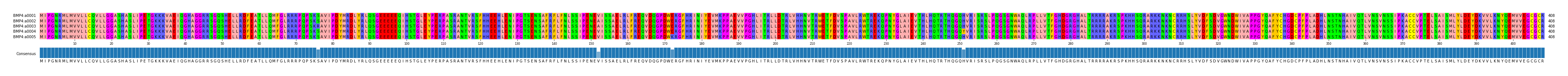 Multiple Alignments (by translate haplotype frequency)