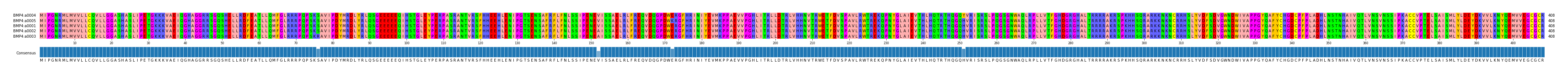 Multiple Alignments (by translate haplotype similarity)