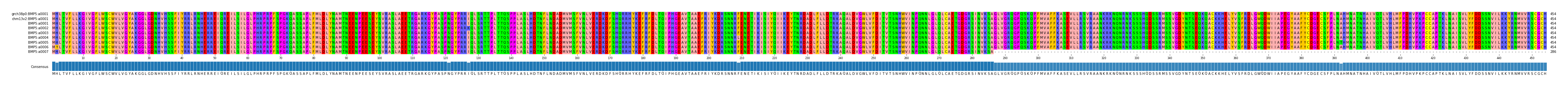 Multiple Alignments (by translate haplotype frequency)