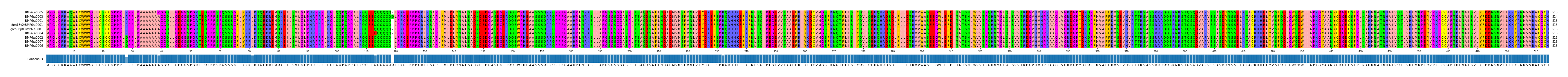 Multiple Alignments (by translate haplotype similarity)