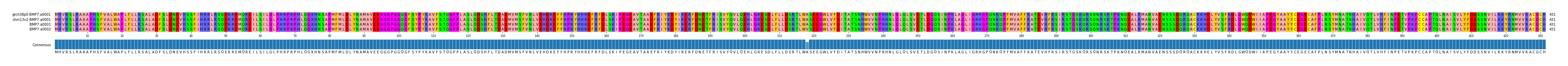 Multiple Alignments (by translate haplotype similarity)