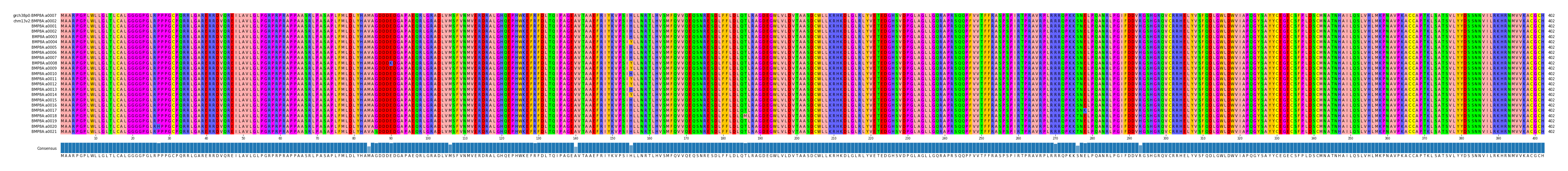 Multiple Alignments (by translate haplotype frequency)