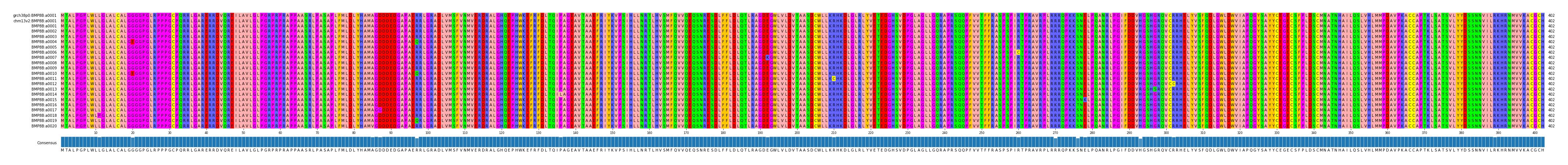Multiple Alignments (by translate haplotype frequency)