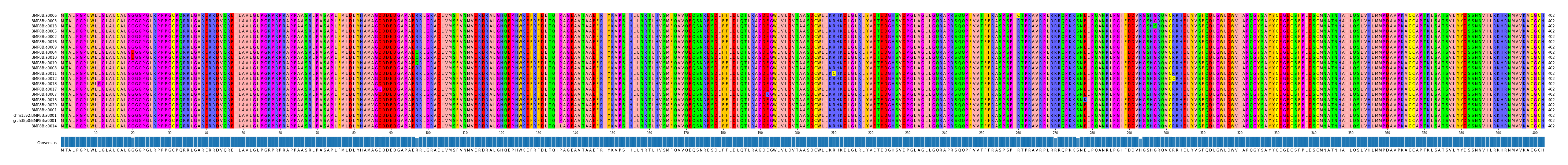 Multiple Alignments (by translate haplotype similarity)