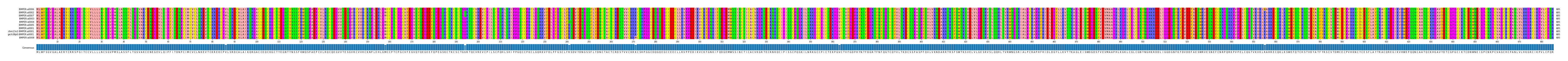 Multiple Alignments (by translate haplotype similarity)