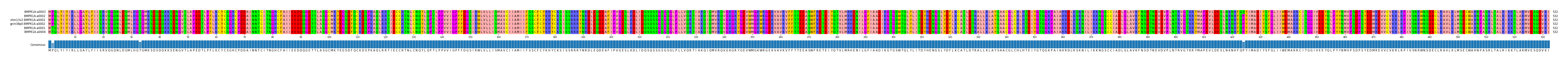 Multiple Alignments (by translate haplotype similarity)