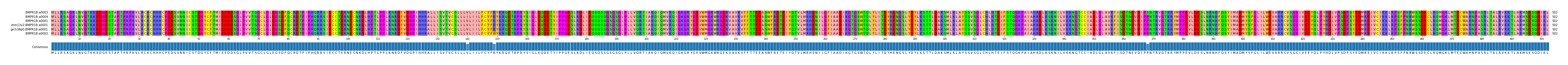 Multiple Alignments (by translate haplotype similarity)