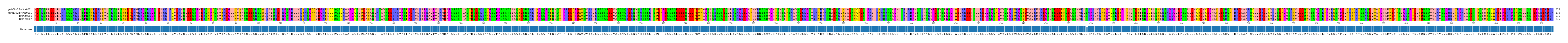 Multiple Alignments (by translate haplotype frequency)