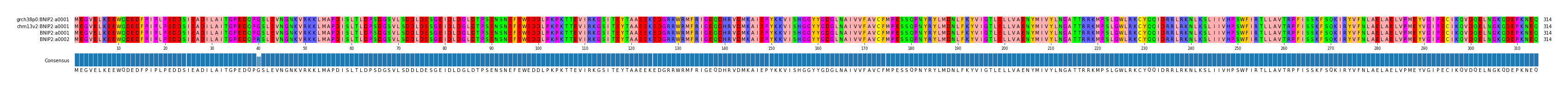 Multiple Alignments (by translate haplotype similarity)