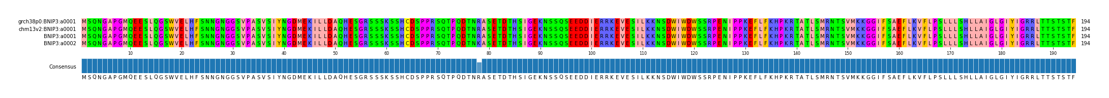Multiple Alignments (by translate haplotype similarity)