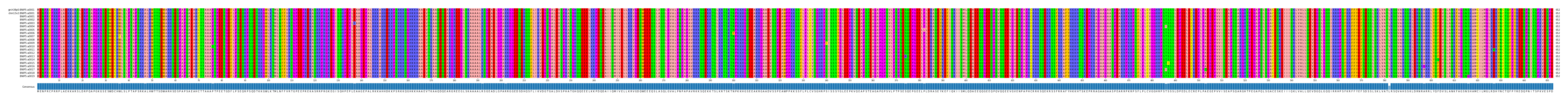 Multiple Alignments (by translate haplotype frequency)