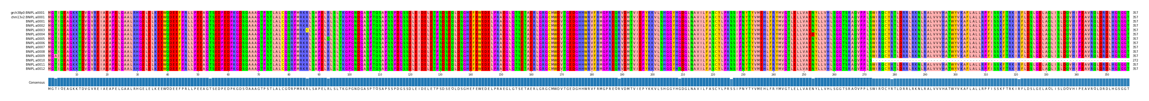 Multiple Alignments (by translate haplotype frequency)