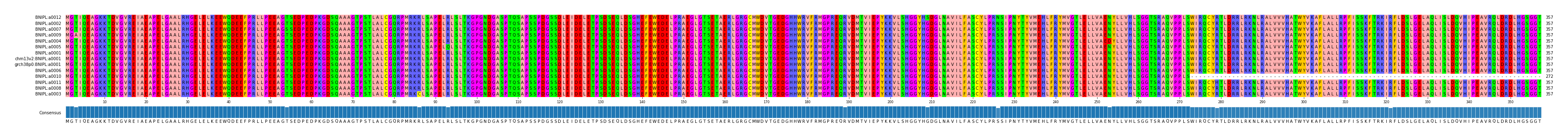 Multiple Alignments (by translate haplotype similarity)