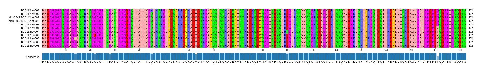 Multiple Alignments (by translate haplotype similarity)