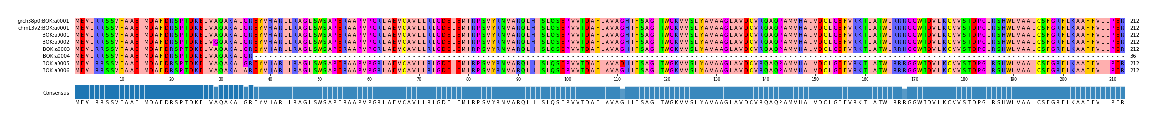 Multiple Alignments (by translate haplotype frequency)