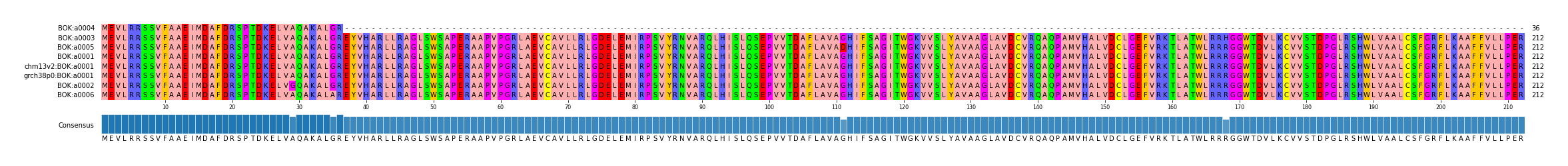 Multiple Alignments (by translate haplotype similarity)