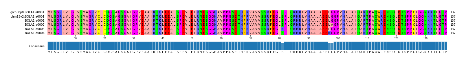 Multiple Alignments (by translate haplotype frequency)