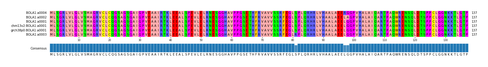 Multiple Alignments (by translate haplotype similarity)