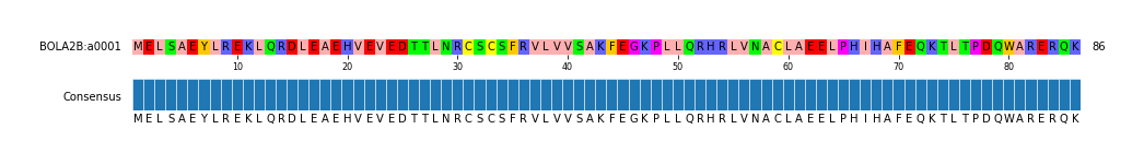 Multiple Alignments (by translate haplotype similarity)