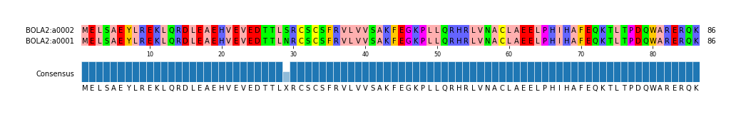 Multiple Alignments (by translate haplotype similarity)
