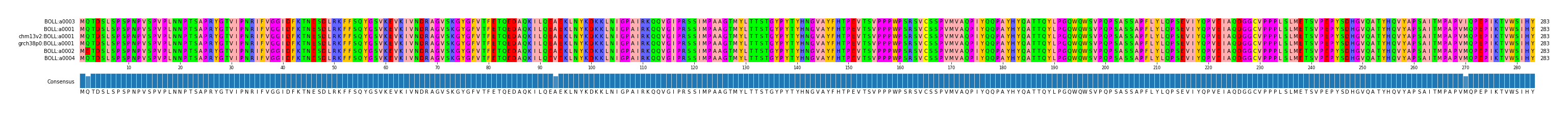 Multiple Alignments (by translate haplotype similarity)