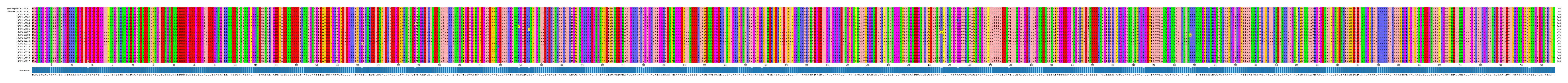 Multiple Alignments (by translate haplotype frequency)