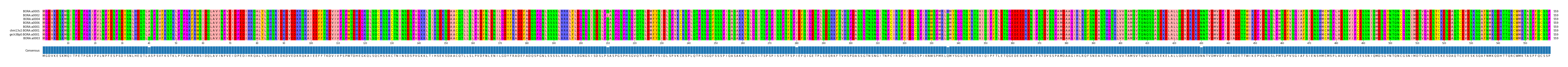 Multiple Alignments (by translate haplotype similarity)