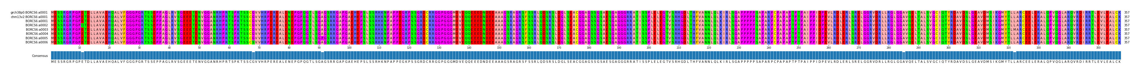 Multiple Alignments (by translate haplotype frequency)