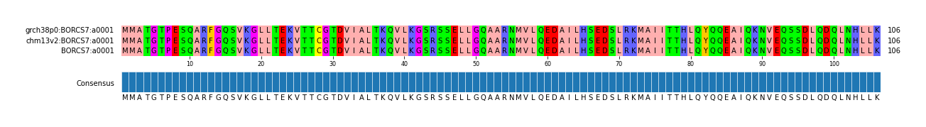 Multiple Alignments (by translate haplotype similarity)