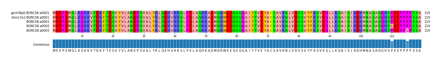 Multiple Alignments (by translate haplotype frequency)