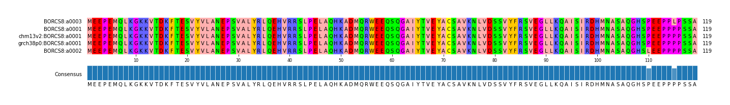Multiple Alignments (by translate haplotype similarity)