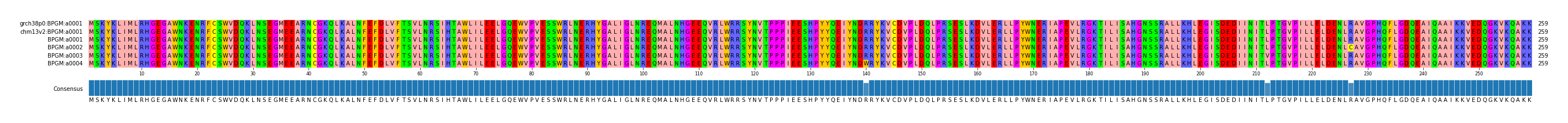 Multiple Alignments (by translate haplotype frequency)