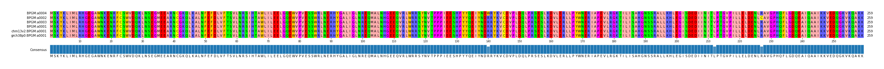Multiple Alignments (by translate haplotype similarity)