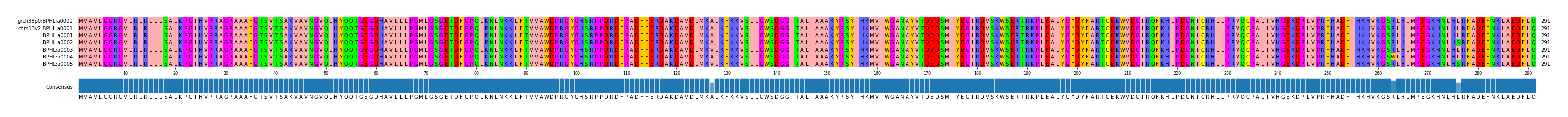 Multiple Alignments (by translate haplotype frequency)