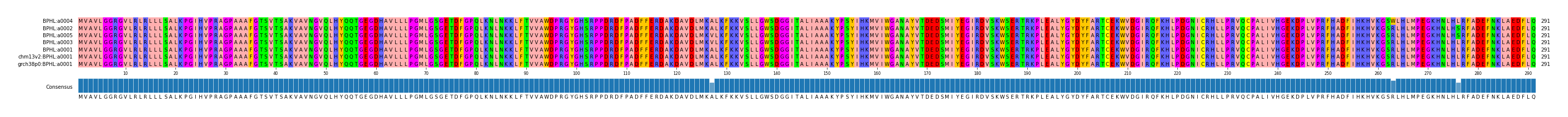 Multiple Alignments (by translate haplotype similarity)