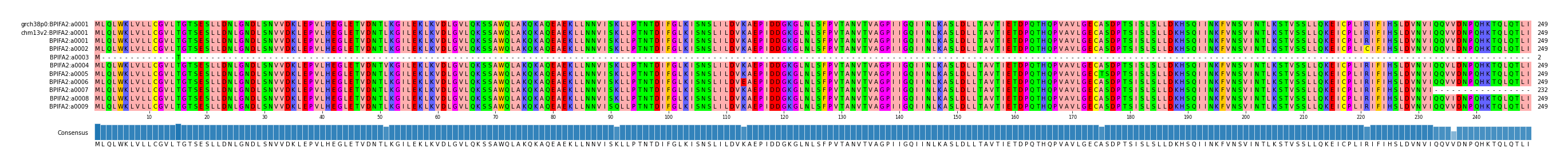 Multiple Alignments (by translate haplotype frequency)