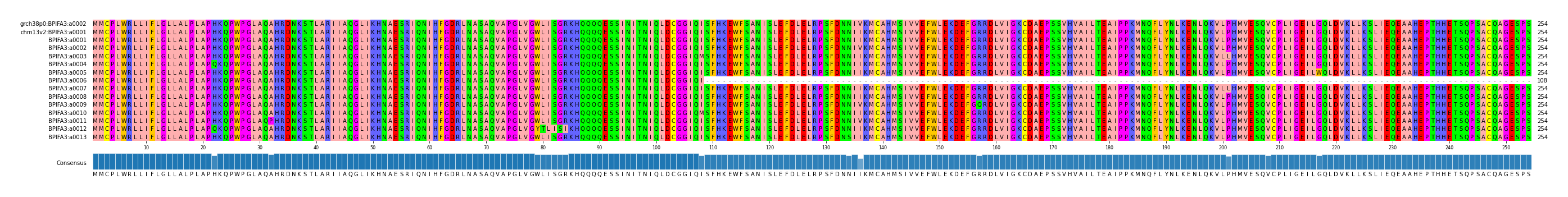 Multiple Alignments (by translate haplotype frequency)