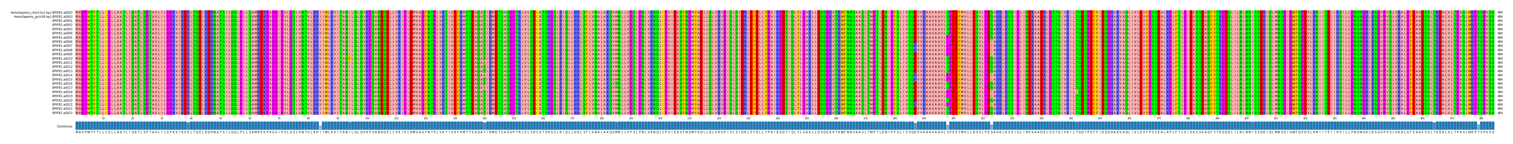 Multiple Alignments (by translate haplotype frequency)