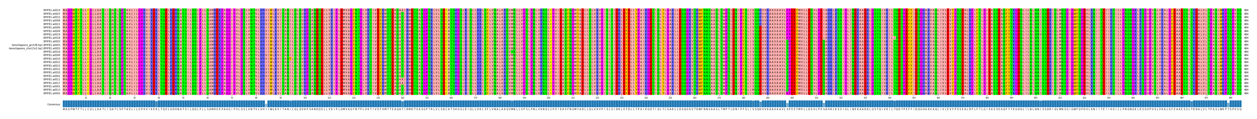 Multiple Alignments (by translate haplotype similarity)