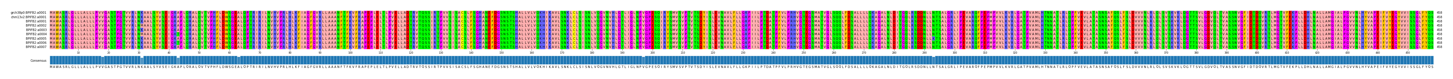 Multiple Alignments (by translate haplotype frequency)
