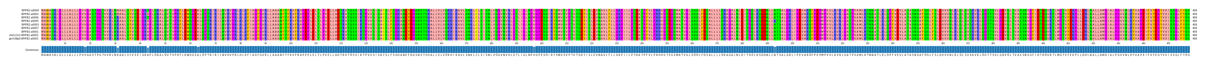Multiple Alignments (by translate haplotype similarity)