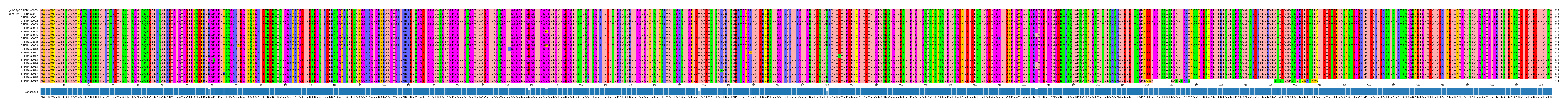Multiple Alignments (by translate haplotype frequency)