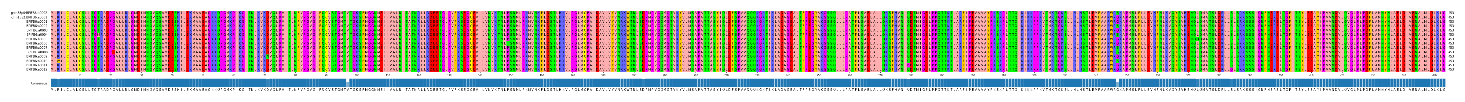 Multiple Alignments (by translate haplotype frequency)