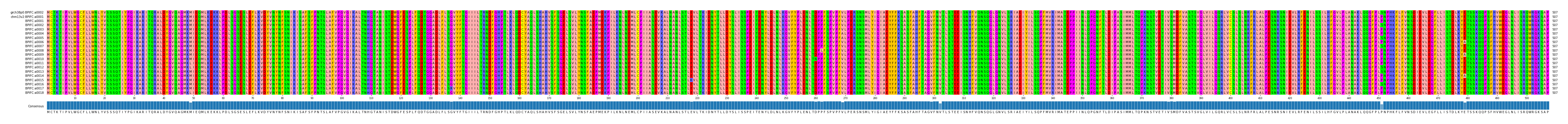 Multiple Alignments (by translate haplotype frequency)