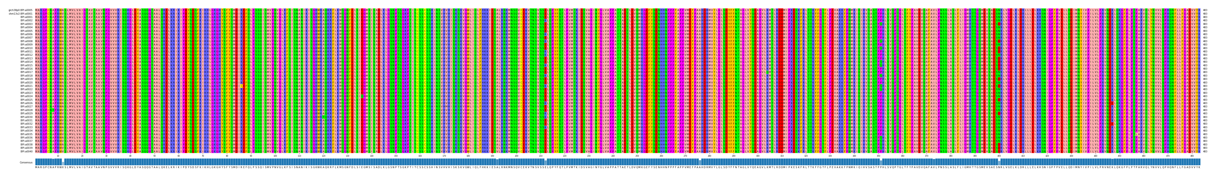 Multiple Alignments (by translate haplotype frequency)