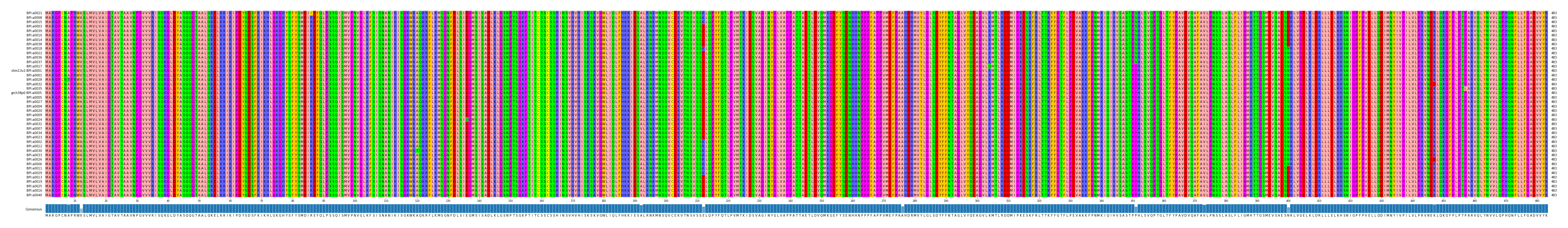 Multiple Alignments (by translate haplotype similarity)