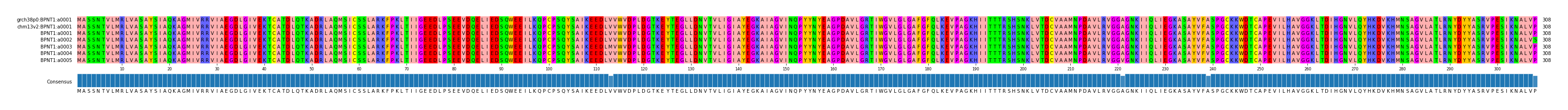 Multiple Alignments (by translate haplotype frequency)
