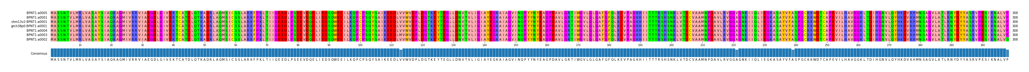 Multiple Alignments (by translate haplotype similarity)