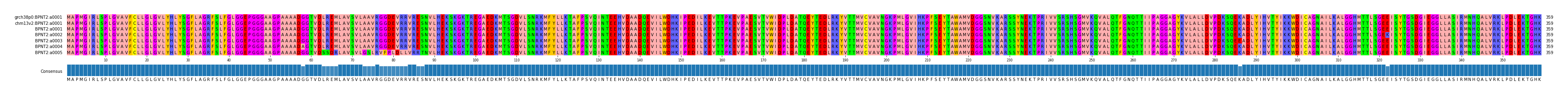 Multiple Alignments (by translate haplotype frequency)