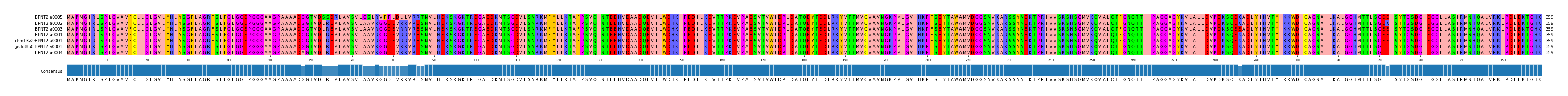 Multiple Alignments (by translate haplotype similarity)